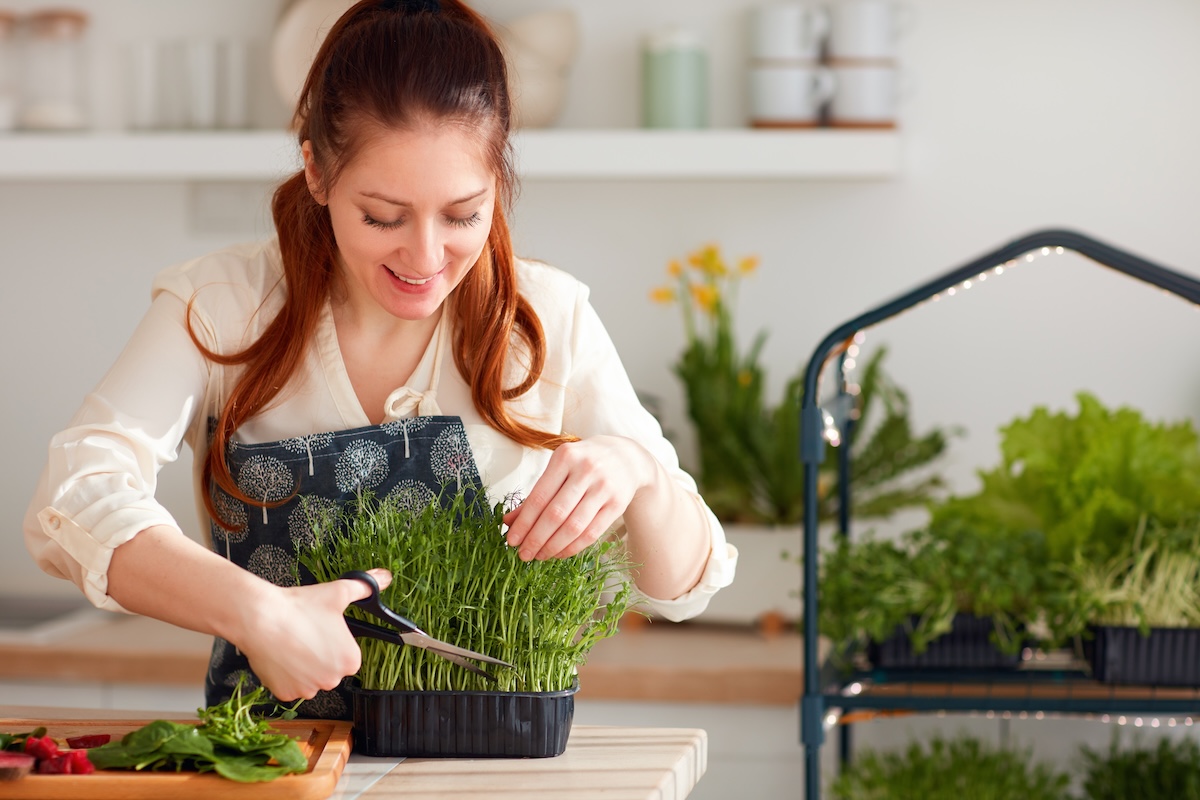 Mastering Culinary Art: The Top 10 Kitchen Shear Brands For Every Chef